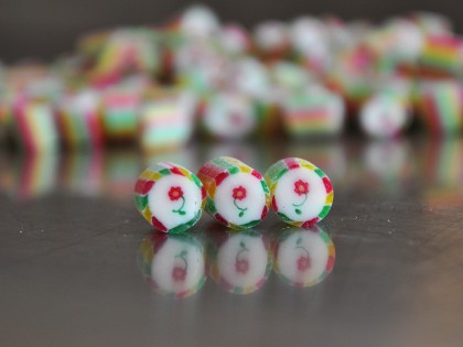Fleur du Printemps