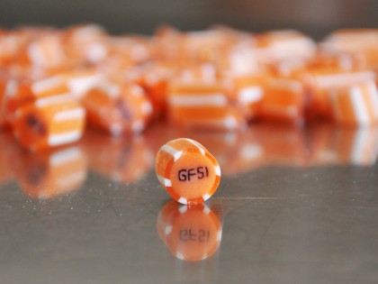 GFSI (Geneva Forum for Sustainable Investment)